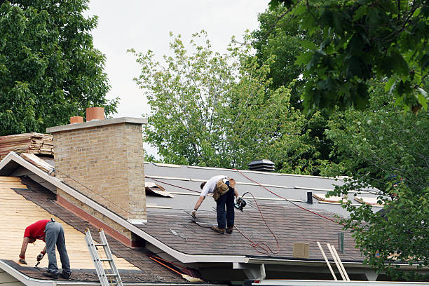 Best Roof Gutter Cleaning  in Swepsonville, NC